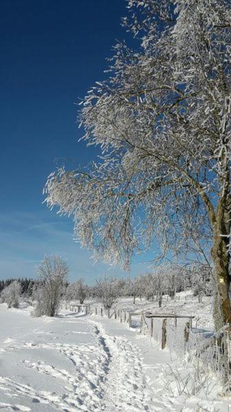 Zum Heideblick